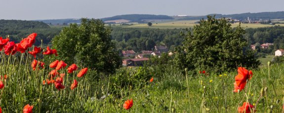 Les 28 communes